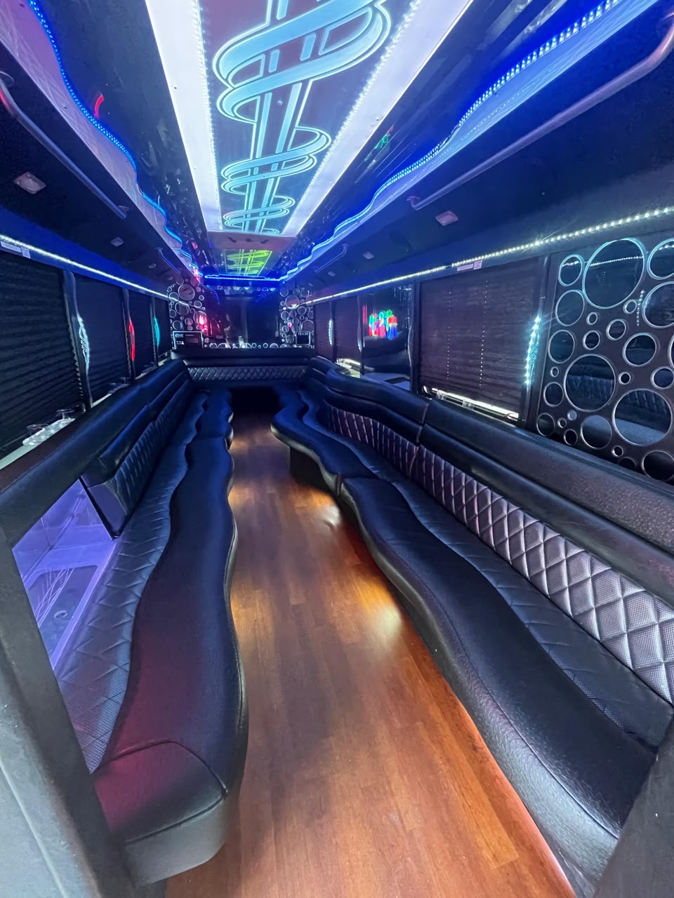 Party Bus (20 Pax) in the USA